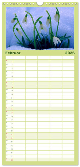 Wildblumen 2026 (CALVENDO Familienplaner 2026)