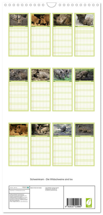 Schweinkram - Die Wildschweine sind los (CALVENDO Familienplaner 2026)