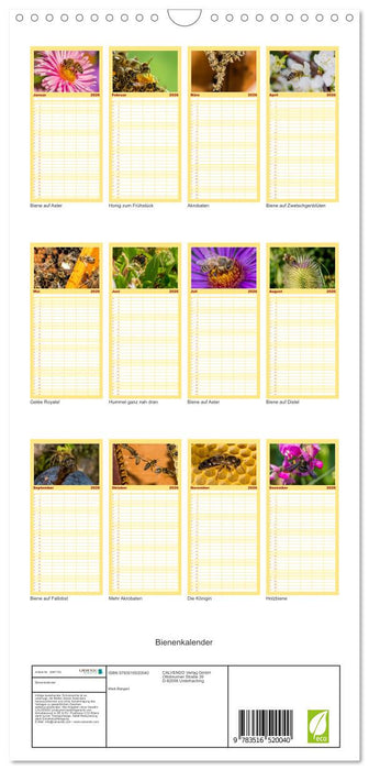 Bienenkalender (CALVENDO Familienplaner 2026)