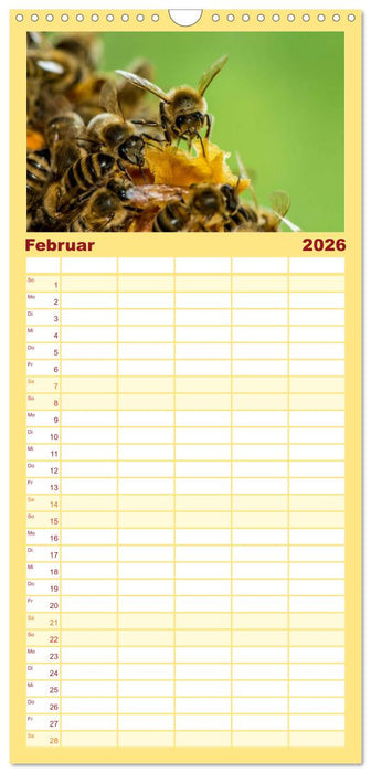 Bienenkalender (CALVENDO Familienplaner 2026)
