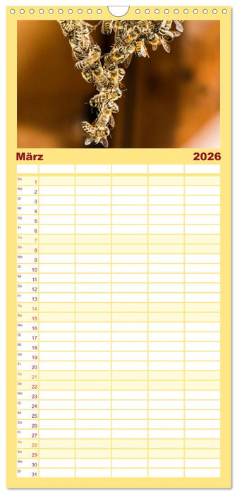 Bienenkalender (CALVENDO Familienplaner 2026)