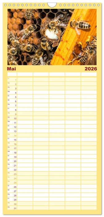 Bienenkalender (CALVENDO Familienplaner 2026)