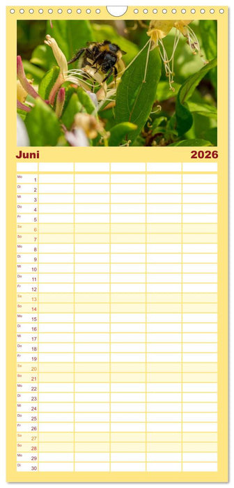 Bienenkalender (CALVENDO Familienplaner 2026)