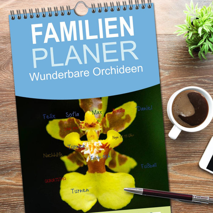 Wunderbare Orchideen (CALVENDO Familienplaner 2026)