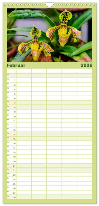 Wunderbare Orchideen (CALVENDO Familienplaner 2026)