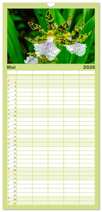 Wunderbare Orchideen (CALVENDO Familienplaner 2026)