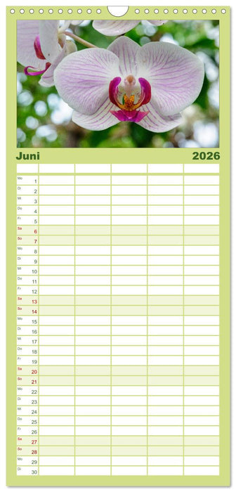 Wunderbare Orchideen (CALVENDO Familienplaner 2026)