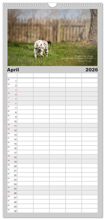 Mit guten Gedanken durch das Jahr (CALVENDO Familienplaner 2026)