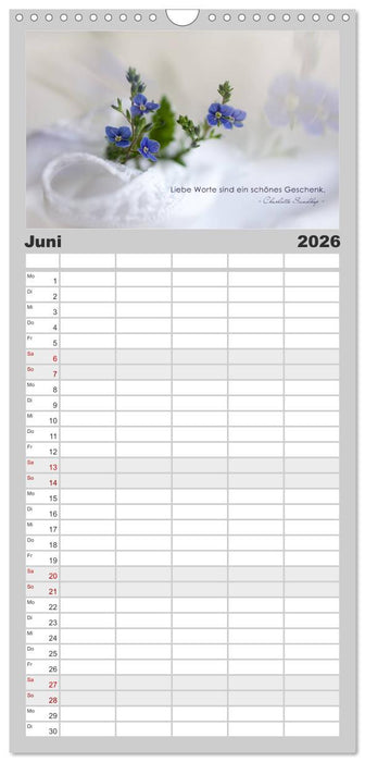 Mit guten Gedanken durch das Jahr (CALVENDO Familienplaner 2026)