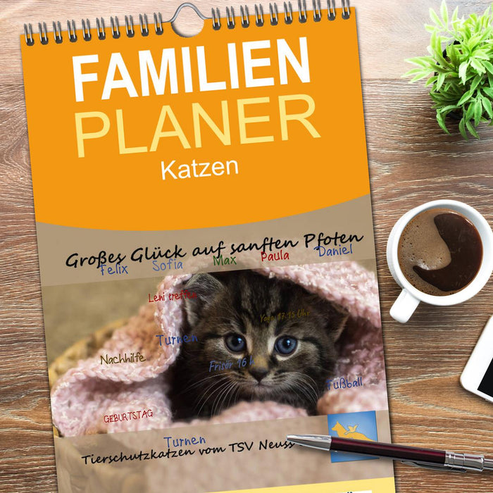 Tierschutzkatzen vom TSV-Neuss - Großes Glück auf sanften Pfoten (CALVENDO Familienplaner 2026)