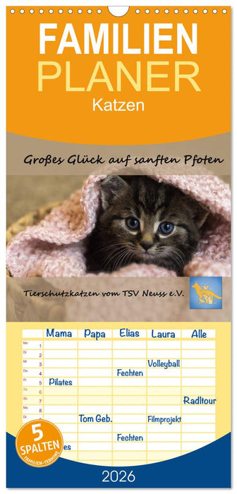 Tierschutzkatzen vom TSV-Neuss - Großes Glück auf sanften Pfoten (CALVENDO Familienplaner 2026)