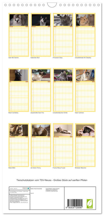 Tierschutzkatzen vom TSV-Neuss - Großes Glück auf sanften Pfoten (CALVENDO Familienplaner 2026)