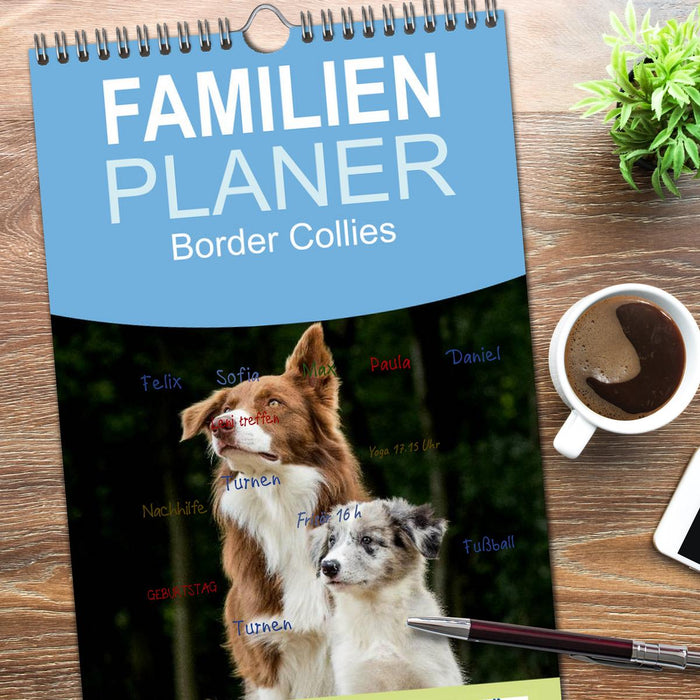 Border Collies 2026 (CALVENDO Familienplaner 2026)