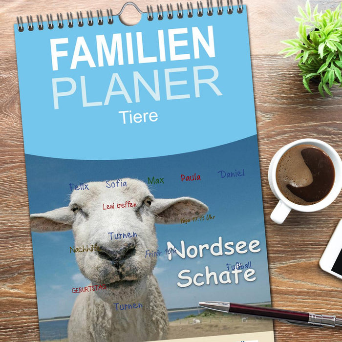 Nordsee Schafe (CALVENDO Familienplaner 2026)