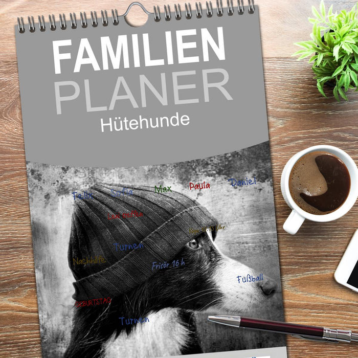 Hütehunde (CALVENDO Familienplaner 2026)