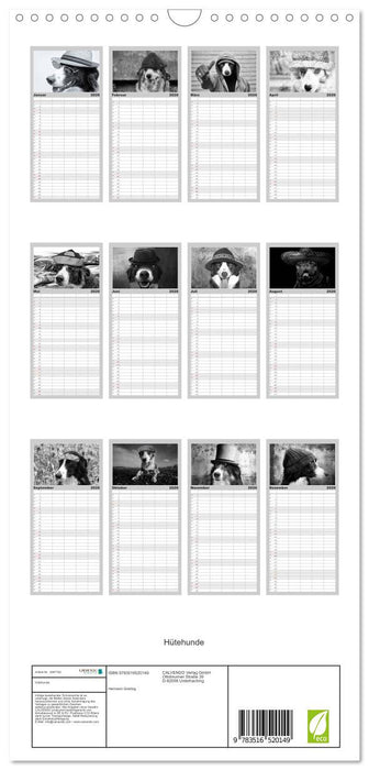 Hütehunde (CALVENDO Familienplaner 2026)