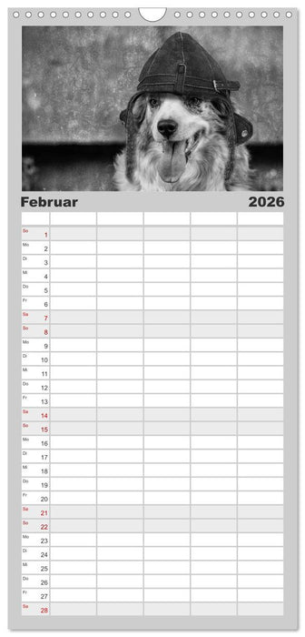 Hütehunde (CALVENDO Familienplaner 2026)