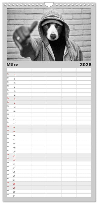 Hütehunde (CALVENDO Familienplaner 2026)