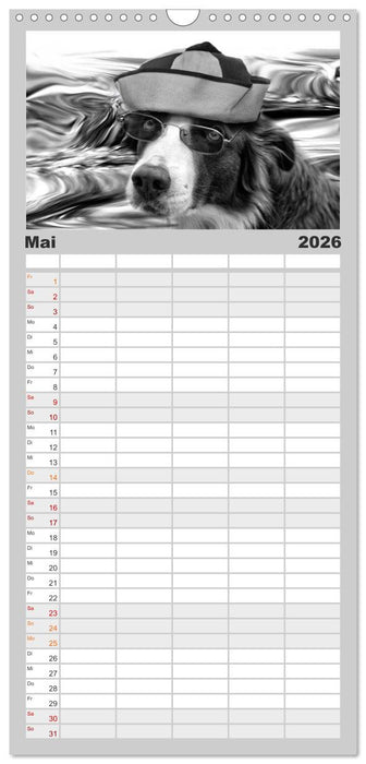 Hütehunde (CALVENDO Familienplaner 2026)