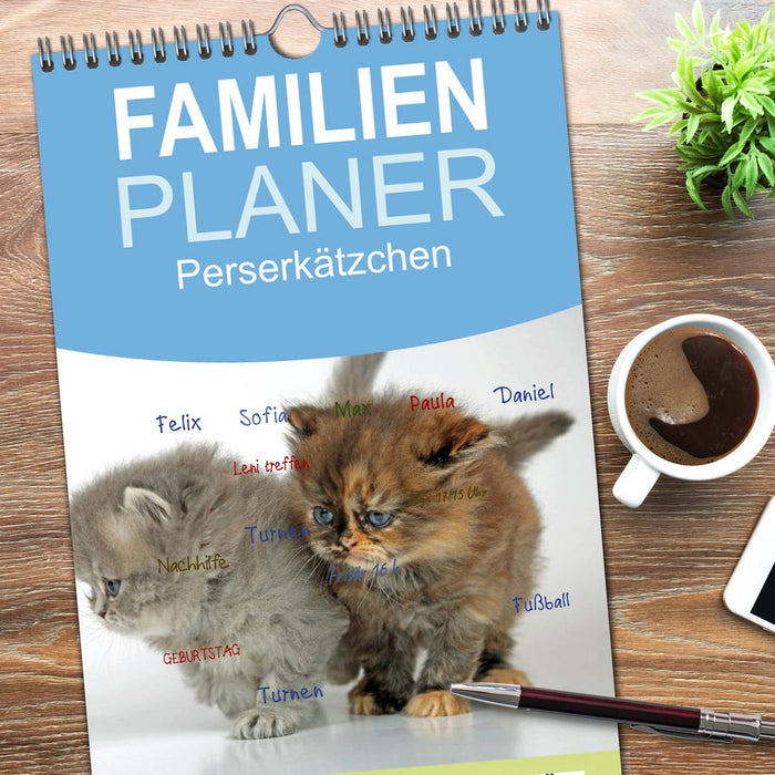 Perserkätzchen (CALVENDO Familienplaner 2026)