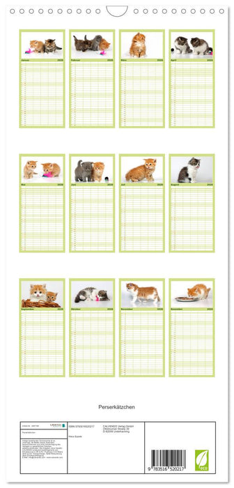 Perserkätzchen (CALVENDO Familienplaner 2026)