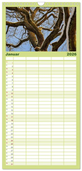 Bäume 2026 (CALVENDO Familienplaner 2026)