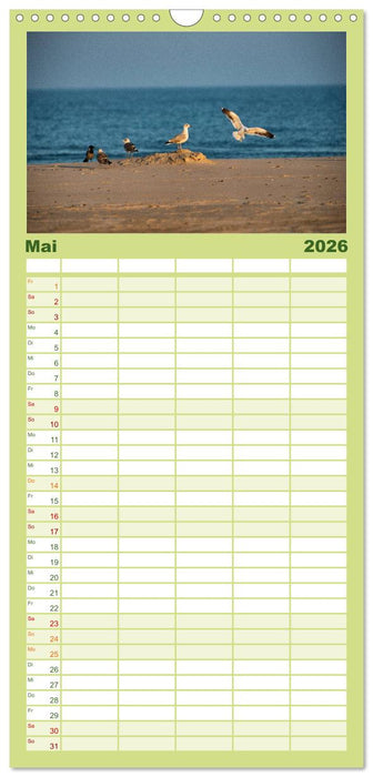 Traumziel Dänemark (CALVENDO Familienplaner 2026)