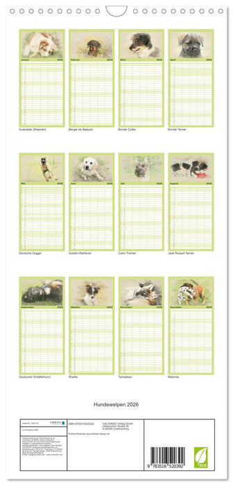 Hundewelpen 2026 (CALVENDO Familienplaner 2026)
