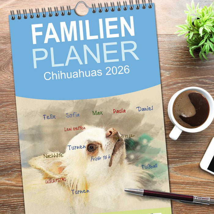 Chihuahuas 2026 (CALVENDO Familienplaner 2026)