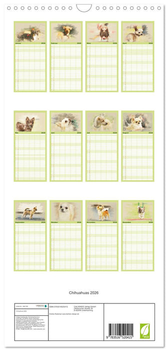 Chihuahuas 2026 (CALVENDO Familienplaner 2026)