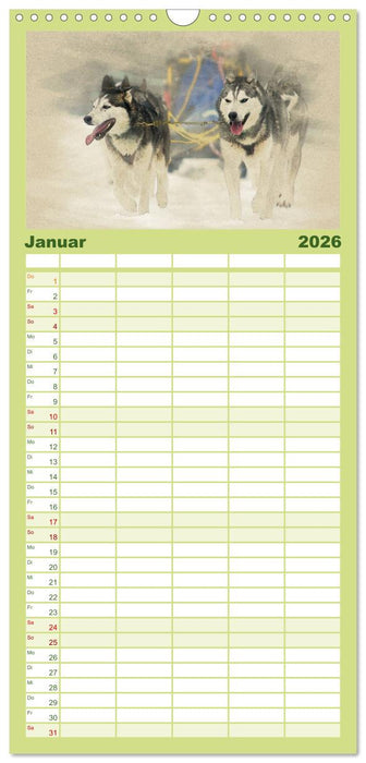 Schlittenhunde 2026 (CALVENDO Familienplaner 2026)