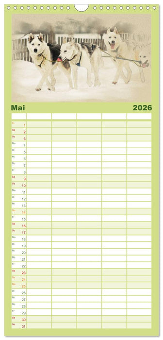 Schlittenhunde 2026 (CALVENDO Familienplaner 2026)