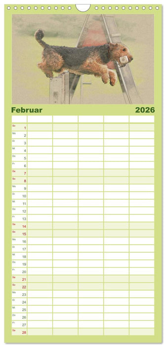 Airedale Terrier 2026 (CALVENDO Familienplaner 2026)