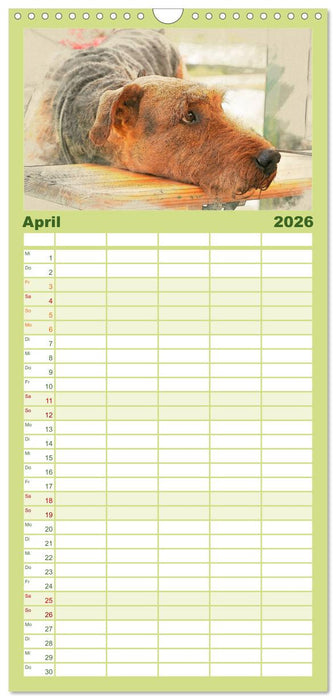 Airedale Terrier 2026 (CALVENDO Familienplaner 2026)