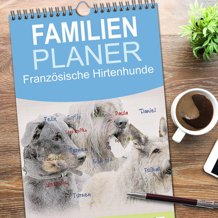 Französische Hirtenhunde 2026 (CALVENDO Familienplaner 2026)
