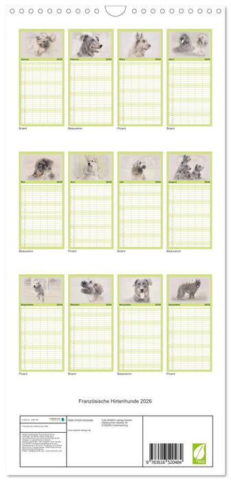 Französische Hirtenhunde 2026 (CALVENDO Familienplaner 2026)