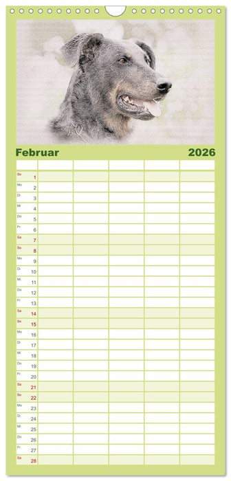 Französische Hirtenhunde 2026 (CALVENDO Familienplaner 2026)