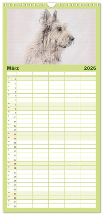 Französische Hirtenhunde 2026 (CALVENDO Familienplaner 2026)