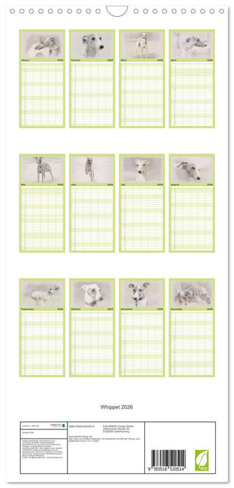 Whippet 2026 (CALVENDO Familienplaner 2026)