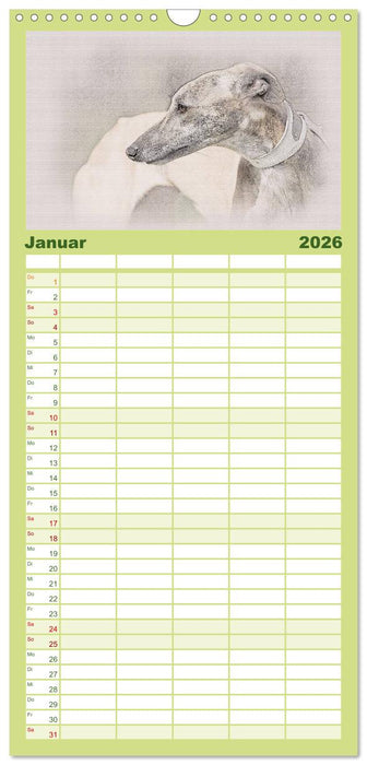 Whippet 2026 (CALVENDO Familienplaner 2026)