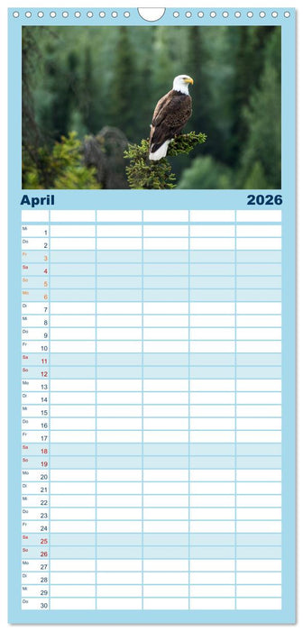 Der Alaska Kalender (CALVENDO Familienplaner 2026)