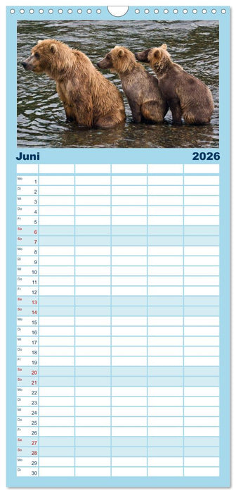 Der Alaska Kalender (CALVENDO Familienplaner 2026)