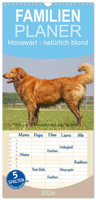 Hovawart - natürlich blond (CALVENDO Familienplaner 2026)