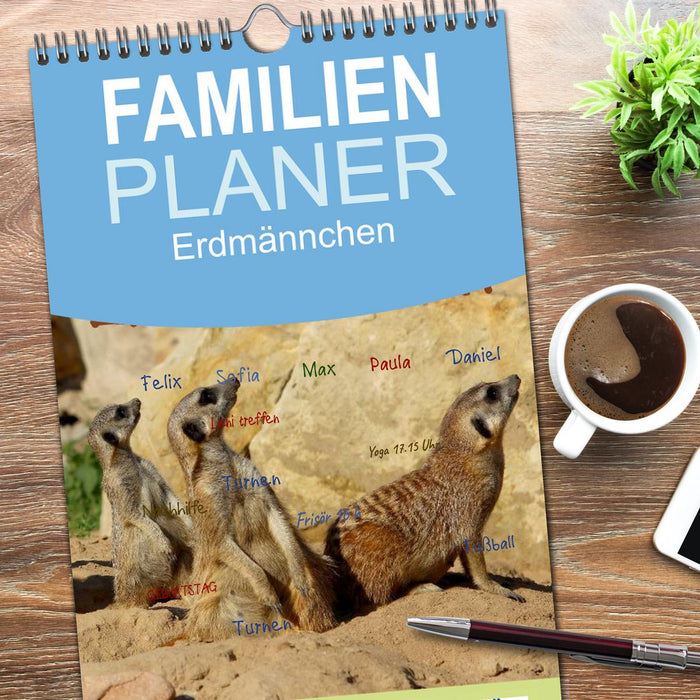 Erdmännchen (CALVENDO Familienplaner 2026)