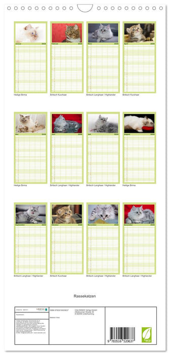 Rassekatzen (CALVENDO Familienplaner 2026)