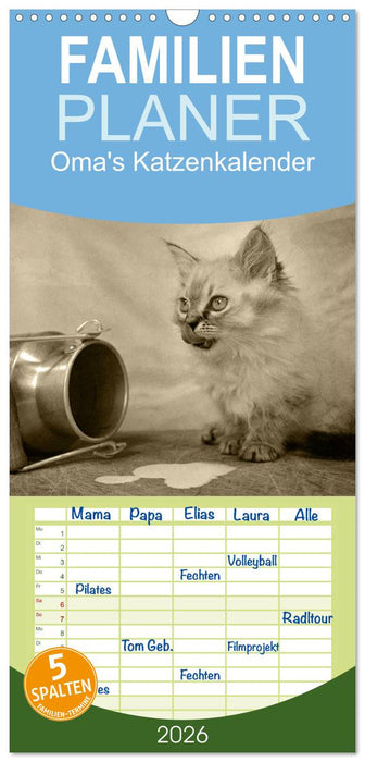 Oma's Katzenkalender 2026 (CALVENDO Familienplaner 2026)