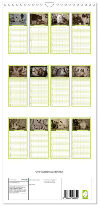 Oma's Katzenkalender 2026 (CALVENDO Familienplaner 2026)