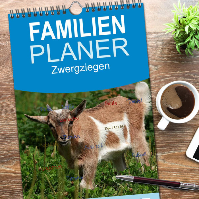 Zwergziegen (CALVENDO Familienplaner 2026)