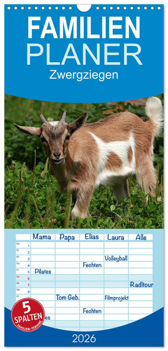 Zwergziegen (CALVENDO Familienplaner 2026)