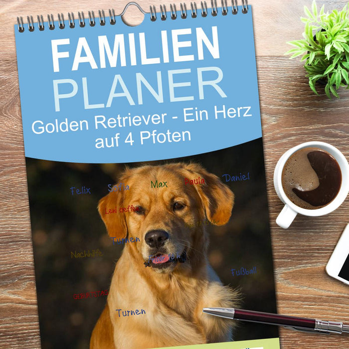 Golden Retriever - Ein Herz auf 4 Pfoten (CALVENDO Familienplaner 2026)